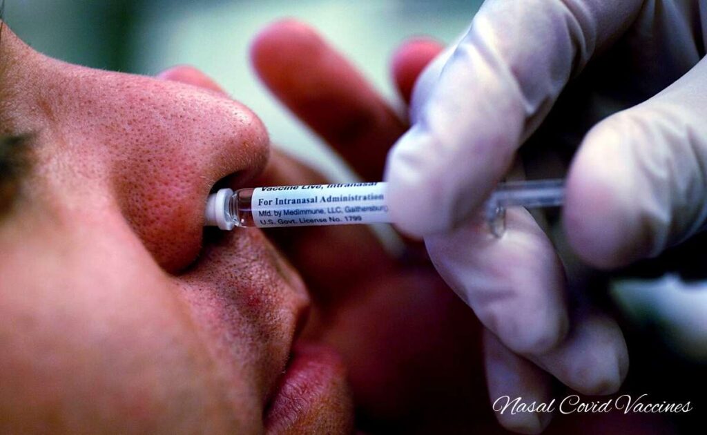 Nasal Covid Vaccines
